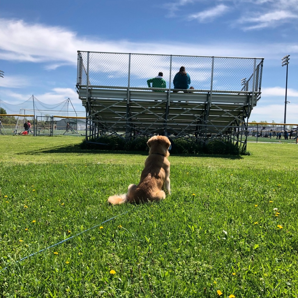 Meet your Posher, Susan